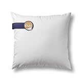Bestlivings Made in Germany Feder Kopfkissen - 80x80cm Schlafkissen mit Downpass-Zertifizierung (Qualität und Tierschutz) - ÖKO TEX - 100% feiner Baummwoll Bezug