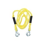 CARPOINT 0178703 Abschleppseil 5000 3 Meter mit Haken Abschleppgurt LKW Wohnmobile