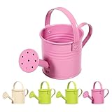 Healvian Mini-Gießkannen, kleiner Gießkannen, Eisen, Wasserkessel, Kinder, Wasserkanne für Pflanzen, Blumen (zufällige Farbe), 5 Stück
