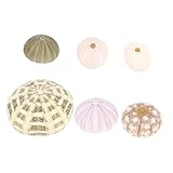 Vaguelly 6Stücke Seeigel Dekoration Für Aquarien Fischtankzubehör Im Gemischten Realistisches Design Farbenfrohe Für Ihre Aquariumlandschaft