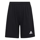 adidas Jungen ENTRADA22 Fußball-Shorts, Schwarz, 9-10 Jahre/ 140