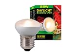 Exo Terra Daylight Basking Spot NANO, Tageslichtlampe, für den Gebrauch im Exo Terra Reptile Dome Nano, 25W, Fassung E27, 1 Stück (1er Pack), Silber