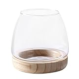 Runde Fischschale Aus Glas | Aquarium Fischglas, Klarglas Hydrokultur Pflanzenvase Mit Holzsockel, Fisch Sortierte Runde Vasenschale, Blumenvase Zum Pflanzen Von Kampffischen/Goldfischen