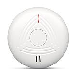 DAYTECH Rauchmelder 10 Jahre Batterie, TÜV Rheinland nach DIN EN 14604, Standalone Rauchwarnmelder mit LED-Anzeigen, 85 dB lauter Alarm, Weiß（1-Pack