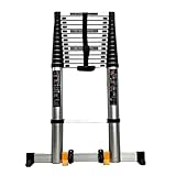 Dachbodenleitern Teleskop-Ausziehleiter mit Rädern, robuste ausziehbare Lange Leiter for Klettern zu Hause, auf dem Dachboden, auf dem Loft und am Arbeitsplatz Dachbodenleiter(5m)