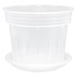 Alasum Transparenter Orchideentopf aus Robustem mit Entwässerungslöchern und Untersetzer für Orchideen Zimmerpflanzen und Garten Atmungsaktiv und Langlebig