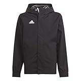 adidas Unisex Kinder Entrada 22 All-Weather Jacket, Black, 9-10 Years