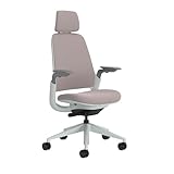 Steelcase Series 1 Ergonomischer Bürostuhl mit LiveBack Lumbalstütze, 4D-Armlehnen, anpassbarer Kopfstütze Linse