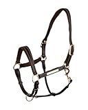 Lederhalfter Landscape