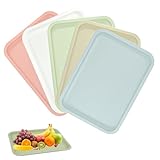 LANSKYLAN 5 Stück Kunststofftablett Serviertablett rutschfest Rechteckig Servierplatten Plastik Tabletts aus Kunststoff Kunststoff Fast Food Café Tabletts rutschfest für Küche Esszimmer 30.5x23x0.8cm