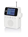 NEWTRO DAB STECKDOSENRADIO COLOR MIT BEWEGUNGSMELDER INKL. AKKU, portables Radio, ideales Badradio mit automatischer Ein- und Abschaltung, 4farb Display, USB-Ladebuchse, DAB+ Digitalradio, Wecker