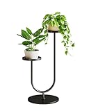 Bamworld Blumenständer Metall Schwarz, Pflanzenständer Indoor Outdoor, Modernes 2-stufiges Pflanzenregal, Stabiler Blumentopfhalter für Wohnzimmer, Balkon, Garten
