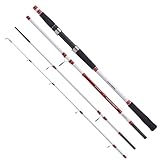 Balzer Magna Nordic Pro Baltic Pilk Travel 2,40m 60-160g - Reiserute, Pilkrute, Bootsrute, Dorschrute, Gute Angelrute zum Fischen auf Salzwasserräuber