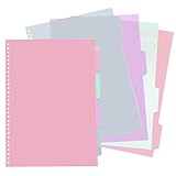 DY.2ten Ordner Register, A4 Trennstreifen für Ordner mit 30 Loch,8 teilig,1/4-Ausschnitt-Tabs, Kunststoff Index ​Teiler für Schule/Büro (2 Sets, Farbmix)