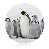 Süße Pinguine Schneidbrett Rutschfest Glasbrett Glasschneidebrett Für Obst Gemüse Fleisch 20 cm