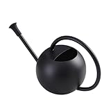 Gießkanne für Zimmerpflanzen, Edelstahl, Gießkanne aus Metall mit langem Auslauf, Zimmerpflanzengießtöpfe, 400 ml