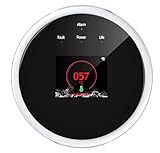 Home-Locking Wifi Gasdetektor mit APP Steuerung und kann mit sprachgesteuerten Apps arbeiten.