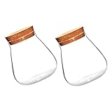 SEWACC 2 Stück Teiliges Mikrolandschafts glasflaschen Korkverschluss Transparente Ökologische Vasen für Hydrokultur Stabile Glasbehälter für Kleine Pflanzen Dekorative Aufbewahrung und