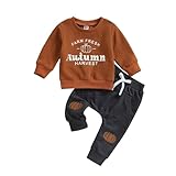 BOTCAM Kleinkind Baby Junge Halloween Outfits Kleidung Kinder Junge Langarm Druck Sweatshirt Elastische Lange Hosen Taufe Kleidung Baby Junge (Brown, 3-6 Months)