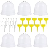 NUOBESTY 6 Stück Pflanzglocken mit 18 Erdspießen und 10 Pflanzenetiketten Transparente Pflanzenkuppelabdeckung Frostschutz für Setzlinge und Gartenschutz Zufällige Farbe Zufällige Farbe