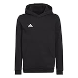 adidas Unisex Kinder Entrada 22 Sweat Hoodie, Black, 152