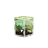 Reptilienterrarium, Transparente Acryl Pet Climbing Terrarium, Anti-Flucht-Design, Für Spide, Skorpion, Käfer, Gottesanbeterin