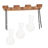 VALICLUD Dekorative Glasvase mit Holzgestell Hydroponische Tischvase Kreative Büro Wohnraum Deko für Zuhause und Büro