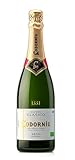 Codorníu Clásico Seco– Aromatischer, trockener Cava aus Spanien (1 x 0,75l)