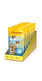 JOSERA Crunchies Salmon (6 x 60 g) | Premium Knusperkissen für Katzen | mit Lachs | getreidefreie & zuckerfreie Rezeptur | Außen knusprig, Innen cremig | mit Vitaminen & Taurin | 6er Pack