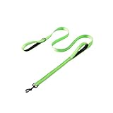 Hundeleine mit Doppelgriff, Verkehrskontrolle, geruchsdicht, leicht zu reinigen, beschichteter breiter Nylongurt mit 2 Griffen, geeignet für Strand/Erkundungen/Training im Schlamm (Green, 180cm)
