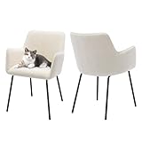 ONEVOG Kleiner Esszimmer Boucle Esszimmerstühle Lendenwirbelstütze Polsterstuhl, Weiß Club Stühle 2er Set mit niedriger Rückenlehne für Wohnzimmer, Club Gäste, bequemer Stuhl zum Arbeiten oder Studium