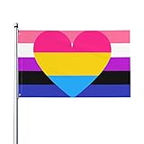 Pan Pansexual Genderfluid Pride Flagge, Willkommens-Party, Outdoor, Dekorationen, Picks, Haus, Garten, Hof, Dekoration, 90 x 150 cm, große Flagge