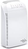 Membrane Solutions MSA3 Luftreiniger Allergiker für Wohnung 147m² Raucherzimmer, H13 HEPA Luftfilter 22dB, Air Purifier gegen 99.97% Staub Schimmel Rauch Pollen bis zu 0,1 µm, Tierhaare Gerüche