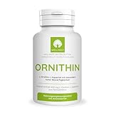 Wellnest L-Ornithin-L-Aspartat Kapseln (100% pflanzliche Qualität) 400 mg pro Kapsel ✓ 120 Kapseln ✓ bei Durchschlafproblemen ✓ Vegan Glutenfrei Laktosefrei