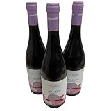 Villa Raiano, Aglianico Campania IGT 2023, Rotwein aus Italien, 750ml, 3er-Set