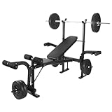 Hantelbank Klappbar,4 in 1 Hantelbank Mit Gewichten,Verstellbare Hantelbank mit Dip-Station 220 lbs weight capacity,Klappbare Schwerlast Gewichtheben Bank Heimtraining Fitnessstudio Multifunktion