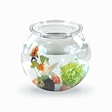 Mobiclinic® Pets, Kugelaquarium, Nemo, 4 Liter, PET ECO Kunststoff, Transparentes Design, 20x20x17,5cm, Leicht zu reinigen, Robust, Ideal zur Wohnungsdekoration, Wasserpflanzen