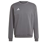 adidas Herren Entrada 22 Sweatshirt, Team Grey Four, L