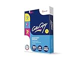 Color Copy Papier A4, 125 Blatt, 300 g/qm