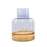 Vasen Moderne kreative Vase, transparente Glasvase, Dekoration, geeignet for Zuhause, Wohnzimmer, TV-Schrank, Blumenarrangement, Blumenarrangement Vase/Blumenvase (Size : C)