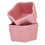 CLISPEED 2 Stück Keramiknapf für Kleine Haustiere Sternförmige Futterschale rutschfest Kippsicher Kratzfest für Hamster und Kaninchen Leicht zu Reinigen Langlebig