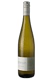 WEIN WISCHER Secco Bacchus, Cuveé, Johanniter dry [0,75 l] Franken Sommertraum Frankenwein jetzt genießen!