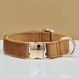 Elegantes Hundehalsband aus Samt mit Goldener Metallschnalle – Hochwertig, bequem & verstellbar – Edles Design in Mehreren Farben & Größen (23–60 cm) (Hellbraun, L = Umfang 36-60cm)
