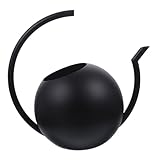 TEHAUX Edelstahl Gießkanne mit Langem Ausguss Langlebig und Ergonomisch für Indoor und Outdoor Pflanzenbewässerung Praktische und Verschleißfeste Gartenbrause für Präzises Gießen