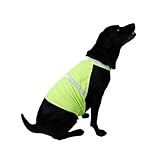 AMSLSIU Stilvolle und sichere Hundeweste mit hoher Sichtbarkeit für Jede Outdoor Aktivität. Fluoreszierende Hundeweste mit hoher Sichtbarkeit aus Polyester, Zitronengelb, M