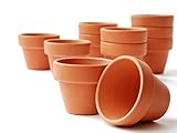 meindekoartikel 20 Tontöpfe Blumentopf Pflanztopf wiederverwendbar witterungsbeständig Verwendung im Innen- und Außenbereich/Farbe - Terracotta (Ø 10 cm)