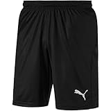 PUMA Herren Liga Shorts Core With Brief Hose, Puma Black-puma White, L EU