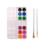 Altaroo Wasserfarbkasten 12 Farben, Tuschkasten Unterwegs mit 2 Pinseln, Wasserfarben, Wassermalkasten für Künstler und Malerei-Liebhaber