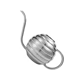 Yardenfun Gießkanne mit Langem Ausguss Rostfrei Langlebig Komfortabler Griff Präzises Bewässern für Garten und Zimmerpflanzen Praktische Kleine Metalldose Silber