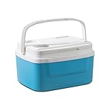 Elektrischer tragbarer Kühlschrank - Thermoelektrischer Kühlbox | Vertrauen und heiß bleiben | Kühlbatterien tragbarer -Kühlschrank | Kompressor für Wohnmobile, Boot,